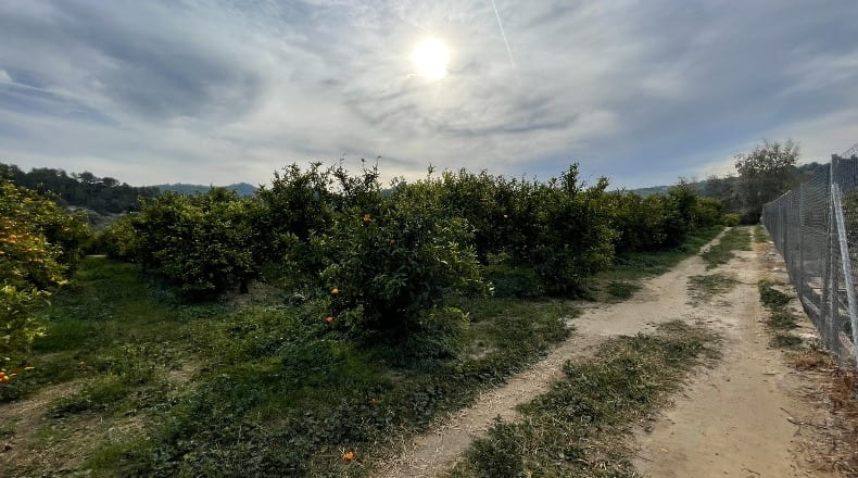 Tarragona - Benifallet - 7300m2