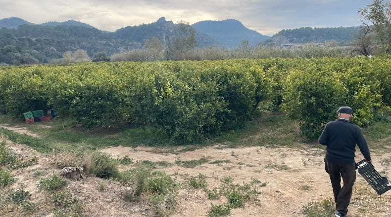 Tarragona - Benifallet - 7300m2