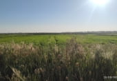 Non-developable land for sale on Polígono 10 Parcela 226 SEVELLAR, Madrigalejo, ref: TR111380 photo