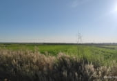 Non-developable land for sale on Polígono 10 Parcela 226 SEVELLAR, Madrigalejo, ref: TR111380 photo