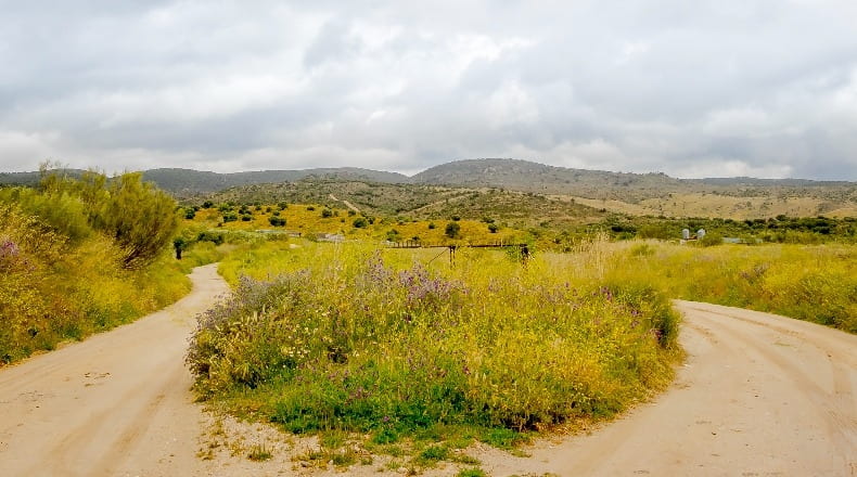 Community of Madrid - Villa del Prado - 2600000m2