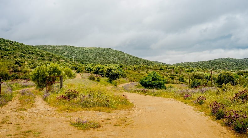 Community of Madrid - Villa del Prado - 2600000m2