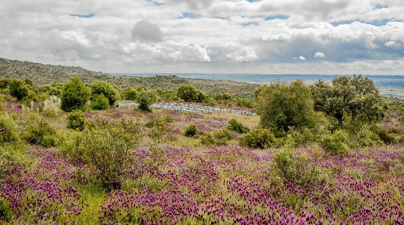 Community of Madrid - Villa del Prado - 2600000m2
