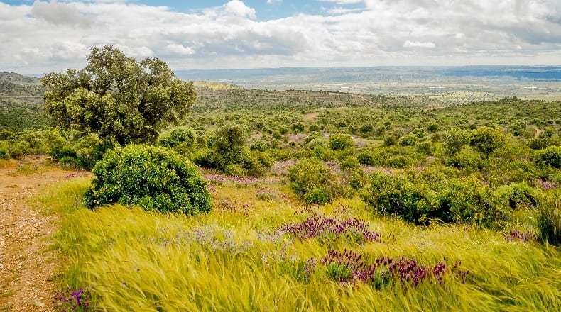 Community of Madrid - Villa del Prado - 2600000m2