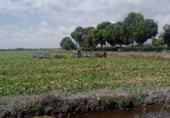 Non-developable land for sale on Camí de la Serratella, Platja d'Almenara - Casablanca, ref: TR111386 photo