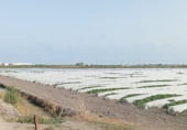 Non-developable land for sale on Camí de la Serratella, Platja d'Almenara - Casablanca, ref: TR111386 photo