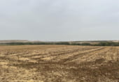 Земля на продажу у города Yunclillos Фото
