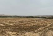 Non-developable land for sale on Yunclillos, ref: TR111390 photo