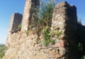 Land with ruins for sale on CC-117, Arroyomolinos, ref: TR111389 photo