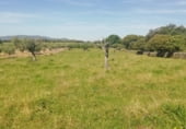 Land with ruins for sale on CC-117, Arroyomolinos, ref: TR111389 photo