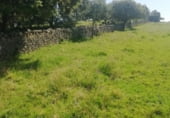 Land with ruins for sale on CC-117, Arroyomolinos, ref: TR111389 photo