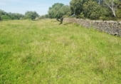 Land with ruins for sale on CC-117, Arroyomolinos, ref: TR111389 photo