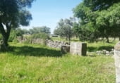 Land with ruins for sale on CC-117, Arroyomolinos, ref: TR111389 photo