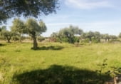 Land with ruins for sale on CC-117, Arroyomolinos, ref: TR111389 photo