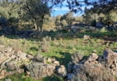 Terreny no urbanitzable en venda a la Paraje Navafrades, Pelahustán, ref.: TR5710 foto