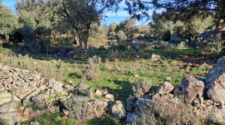 Toledo - Pelahustán - 12182m2