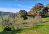 Terreno no urbanizable en venta en la Paraje Riscos, Pelahustán, ref: TR5709 foto
