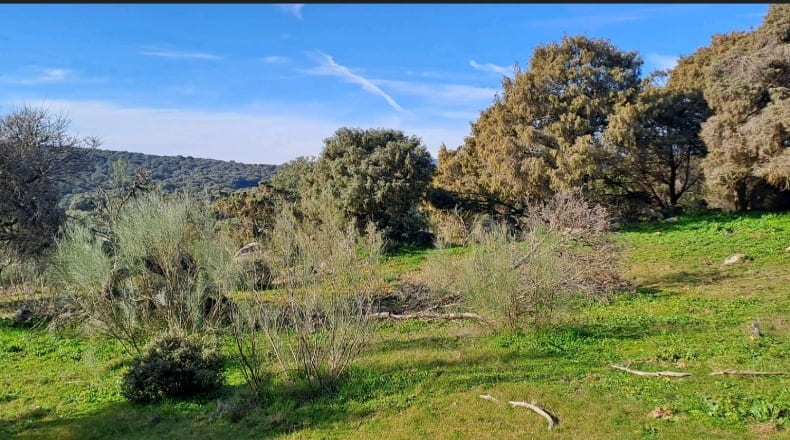 Toledo - Nombela - 15821m2