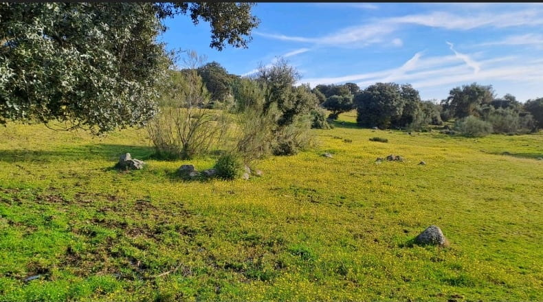 Toledo - Nombela - 15821m2