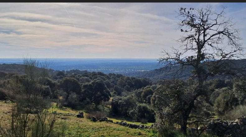 Toledo - Nombela - 15821m2
