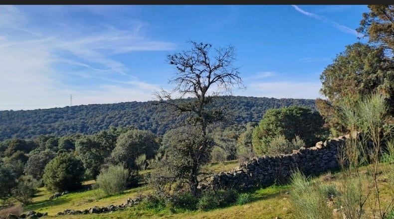 Toledo - Nombela - 15821m2