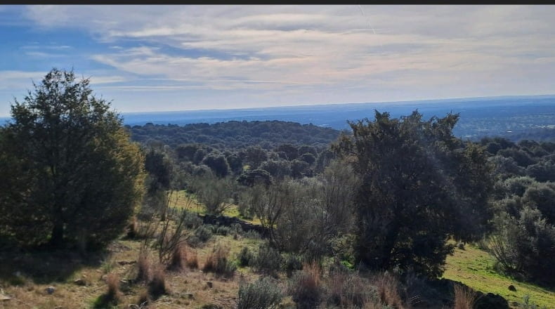 Toledo - Nombela - 15821m2