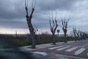 Трухильо 644&nbsp;м²