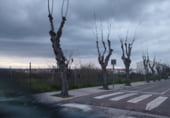 Urban land for sale on Avda Reina Maria Cristina, Trujillo, ref: TR111441 photo