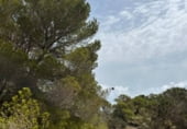 Non-developable land for sale on el Pilar de la Mola, ref: TR111442 photo