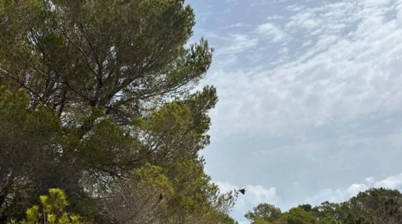 Islas Baleares - el Pilar de la Mola - 17475m2