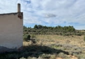 Land with storage building for sale on Les Garrigues, el Cogul, ref: TR340752 photo