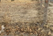 Non-developable land for sale on N-110. Junto a carretera del Barco, Piedrahíta, ref: TR111452 photo