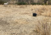 Non-developable land for sale on N-110. Junto a carretera del Barco, Piedrahíta, ref: TR111452 photo