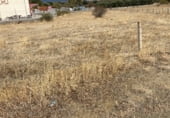 Non-developable land for sale on N-110, Piedrahíta, ref: TR111450 photo