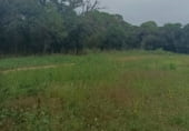 Finca rústica en venta en la Travessia de Taronja, Caldes de Malavella, ref: TR111475 foto