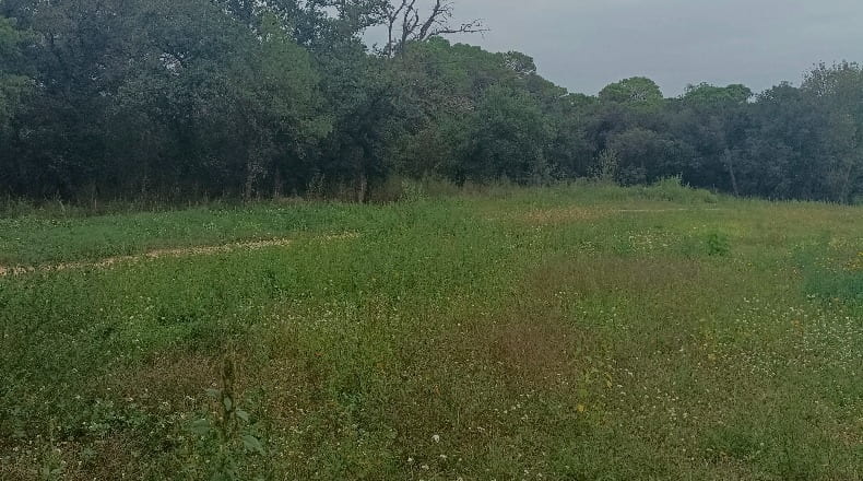 Gerona - Caldes de Malavella - 120000m2