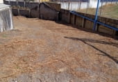 Industrial warehouse for sale on Calle Las Palmas, Villanueva del Río y Minas, ref: TR111728 photo