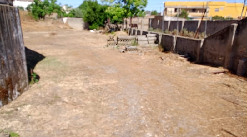 Sevilla - Villanueva del Río y Minas - 3135m2