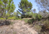 Parcela urbanizable en venta en la Plaça del Mestre Modesto, San Jorge, ref: TR111479 foto
