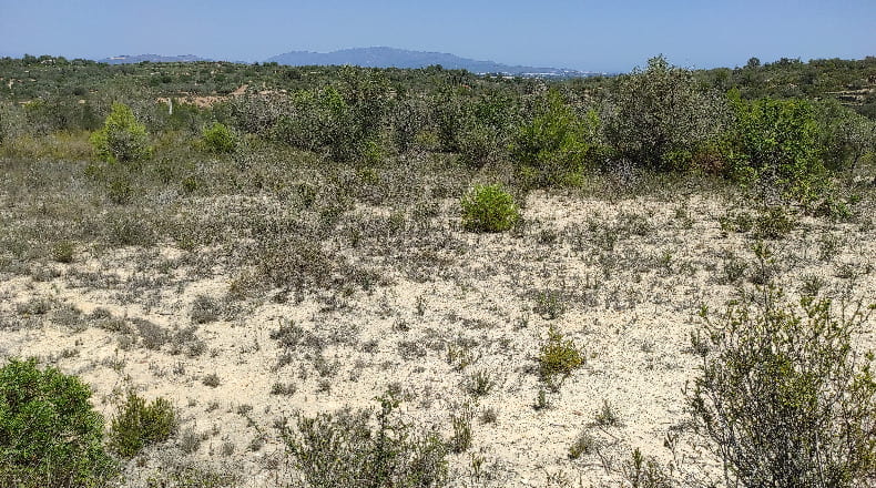 Castellón - San Jorge - 18985m2