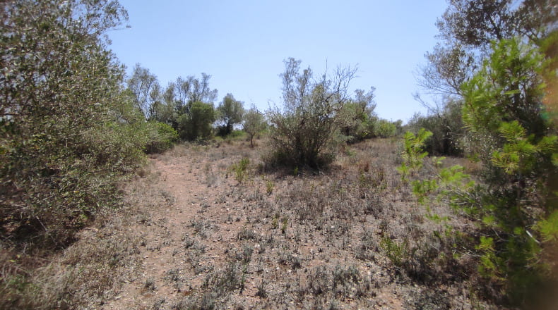 Castellón - San Jorge - 18985m2
