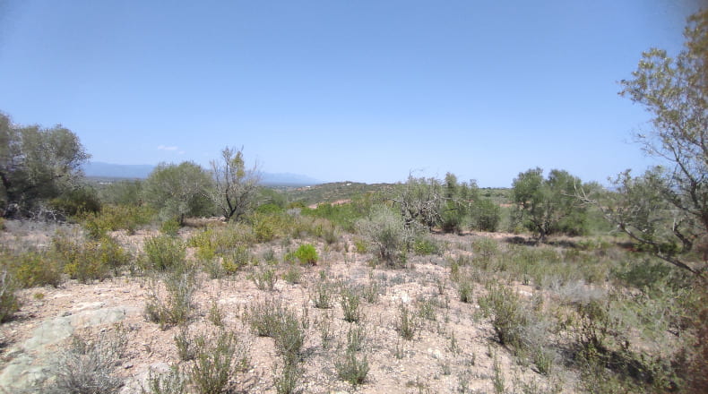 Castellón - San Jorge - 18985m2