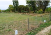 Suelo urbano en venta en la Avenida del Mediterráneo, Mariana, ref: TR110057 foto