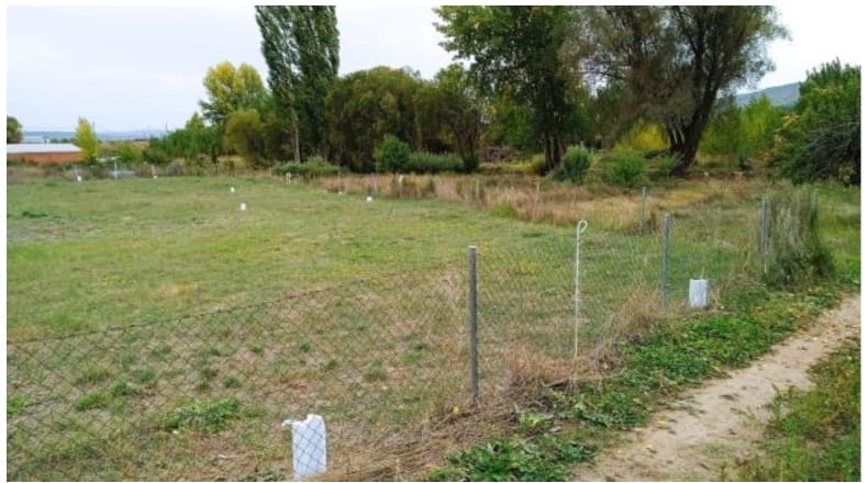 Cuenca - Mariana - 1500m2