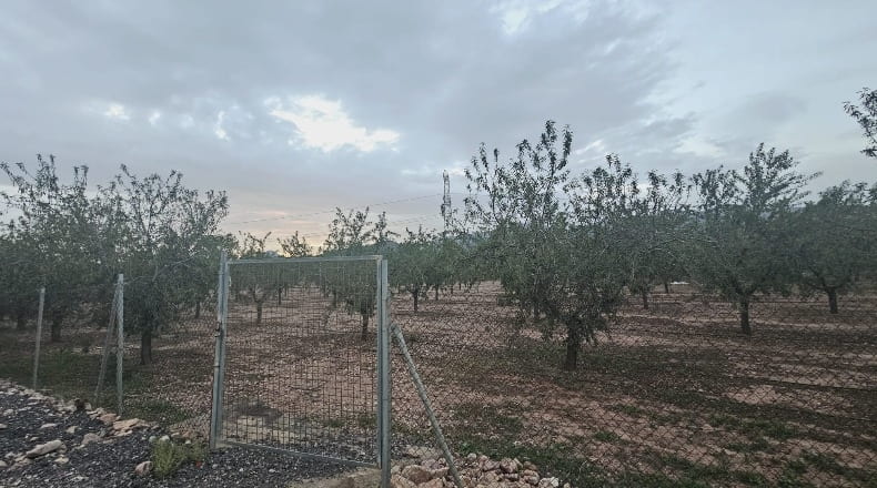 Castellón - la Vall d'Uixó - 10000m2