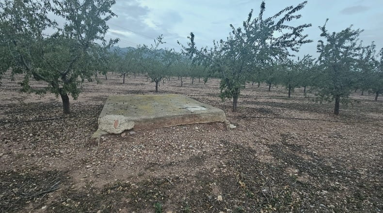 Castellón - la Vall d'Uixó - 10000m2