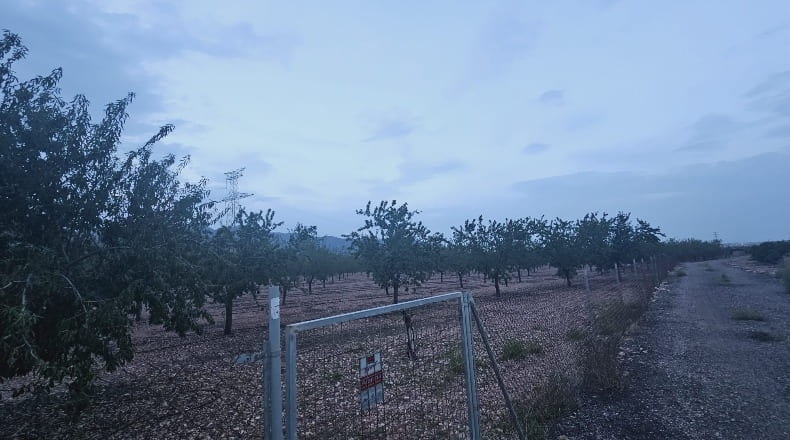 Castellón - la Vall d'Uixó - 10000m2