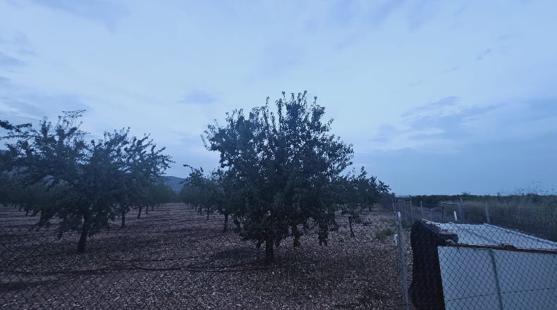 Castellón - la Vall d'Uixó - 10000m2