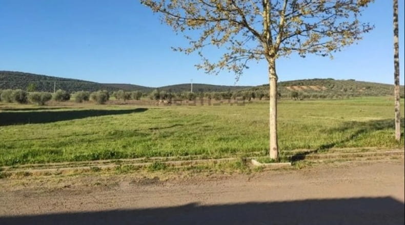 Ciudad Real - Los Cortijos - 980m2