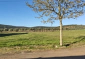 Sòl urbà en venda a la Cortijos de Arriba, Los Cortijos, ref.: TR111491 foto